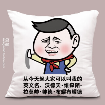 【一款神奇的抱枕】暴走漫画抱枕 表情包个性搞怪靠垫恶搞笑金馆长
