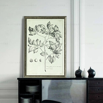 售完无补 NOMO art deco美式素描画客厅玄关装饰画挂画 花鸟风景 达尔文笔记 A款