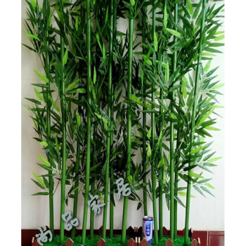 御壶堂 垂直绿化假竹子竹子办公室影楼室内装饰隔断屏风毛竹场景个性
