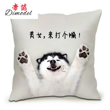 【新品上市,下单立减】哈士奇抱枕宠物定制创意搞怪可爱表情包单身狗
