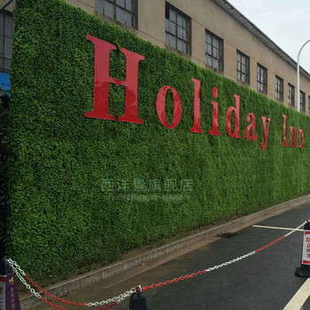 仿真草坪绿化大全阳台墙纸假背景米兰绿植草皮装饰绿色植物工具墙50*进口墙体地毯深色图片
