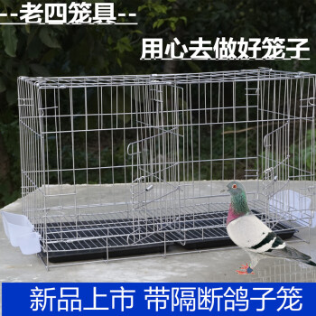 加粗鸽子笼子鸽子用品用具鸽子笼大号鸡笼家用鸽子养殖笼子 大号60*42