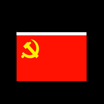 壁挂党旗横挂新款墙体悬挂式团旗国旗党旗128192厘米