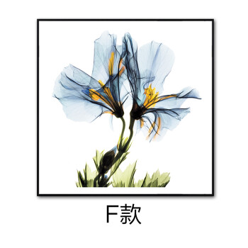 现代简约客厅装饰画北欧花卉植物抽象画卧室挂画玄关走廊餐厅壁画 f款