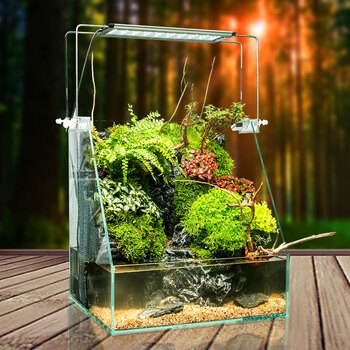 水陆缸鱼缸造景免换水微景观缸白草缸氧吧办公室生态鱼缸 所有套餐