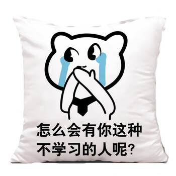 我爱学习抱枕沉迷学习表情包靠垫动漫搞笑装逼利器学生送礼品qy 怎么