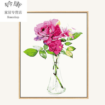 斯宝路diy数字油画 客厅餐厅植物花卉现代简约填色手工绘油彩装饰画
