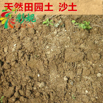 田园土沙土家庭园艺栽花种菜土壤 营养土大包黄土养花土泥土 10斤
