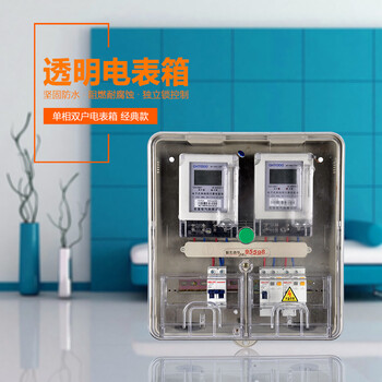单相塑料透明两户两表电表箱家用明装墙式预付费插卡式电表配电箱vf