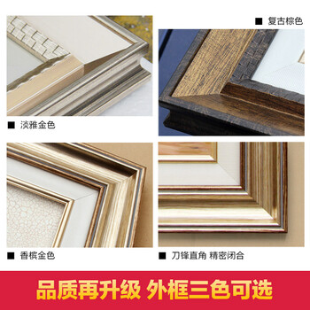 旦晨客厅装饰画沙发背景画卧室餐厅现代三联组合墙画挂画壁画花卉 发财树-淡雅金色P01-ST 左50*70cm 中70*70cm 右50*70