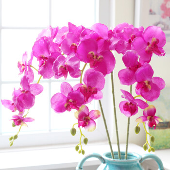 
                                        畅宁 高仿真花蝴蝶兰 5束（不含瓶）假花绢花 家居装饰 客厅摆件 (紫色) 纯色                