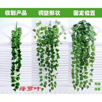 仿真绿萝叶壁挂 假树叶藤条装饰 装饰绿叶绿植花藤假花藤条常青藤