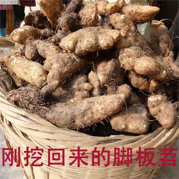 莱芮专营店 糯米山药 新鲜种子脚板薯 白色脚板署红薯