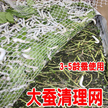 大蚕清理网蚕宝宝养殖卫生工具网清桑叶残梗蚕沙桑蚕饲养过滤用网 大