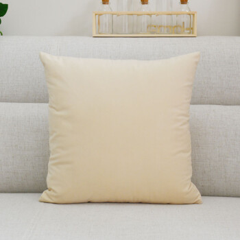 客厅沙发抱枕纯色超柔天鹅绒布艺靠垫套办公室午睡靠枕枕头芯 乳白色