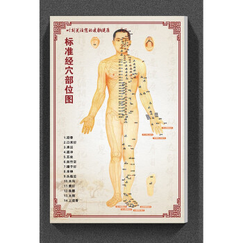人体十二经络图穴位装饰挂画字画全身背景墙壁 01男士