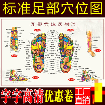 定做足底按摩穴位图足部反射区大挂图人体穴位图足部经络穴位图挂图28