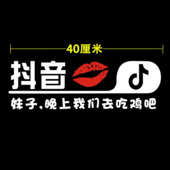 音车贴内涵段子抖友改装尾标段友贴纸汽车贴创意搞笑车贴纸 白色40cm