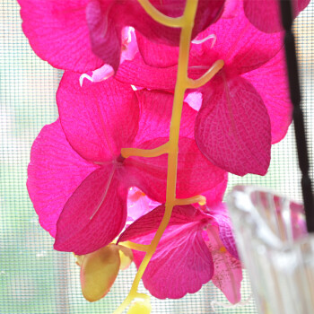 
                                        畅宁 高仿真花蝴蝶兰 5束（不含瓶）假花绢花 家居装饰 客厅摆件 (紫色) 纯色                