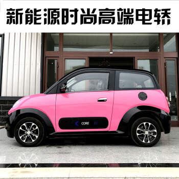 成人四轮车迷你型纯电动代步车油电两用轿车新款 新能源电动汽车 至尊