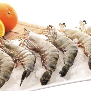 618好货钜惠 天天海鲜越南特级黑虎虾斑节明虾草虾500g 生鲜水产 500g(10条)【图片 价格 品牌 报价】-京东商城