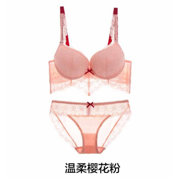 欧美性感深v蕾丝内衣套装 聚拢三排扣白色加厚 文胸 水溶刺绣内裤