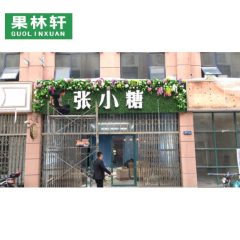 果林轩仿真植物墙 绿植墙 背景墙 绿色植物门头店招 屋顶墙壁装饰吊顶