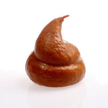 屎粑粑简笔画图片