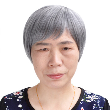 丹博(danbo) 老年人白色假发 老奶奶发套花白短发 老太太短直发光头