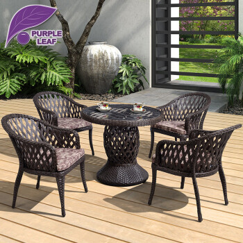 purpleleaf户外桌椅藤椅五件套庭院休闲座椅全铝合金框架防水不生锈4