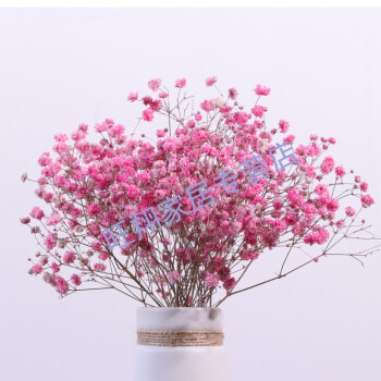 木子西年 干花满天星花艺真花永生花艺小清新家居 粉色满天星【干花】