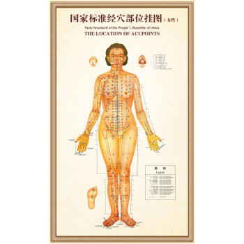 itsok 男性女性人体经络穴位图大挂图十二经络穴位图