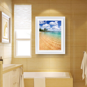 列昂纳多(art pioneer) 现代简约客厅餐厅卧室浴室卫生间防水挂画沙滩