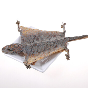 蛤蚧 泡酒料 蛤蚧干 搭配肉苁蓉 锁阳 蛤蚧酒 2