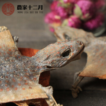 蛤蚧 蛤蚧干泡酒料滋补泡酒药材蛤蚧 特大号蛤蚧1支