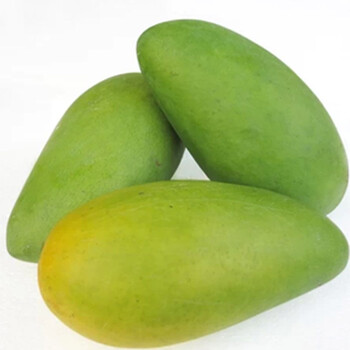 【鲜美】新鲜水果 玉芒 小青芒果5斤装(约12个