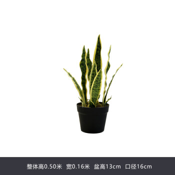 北欧仿真植物金边虎皮兰蛇皮兰盆栽室内客厅落地装饰绿色虎尾兰 50cm