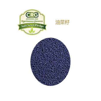 fashy费许德国原装进口6364卡通恐龙油菜籽儿童热敷袋热敷包 绿色6364