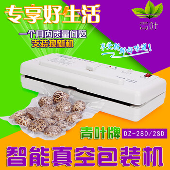 青叶DZ-2SD干货抽真空机家用真空机包装机 小型真空封口机 食品真空包装机 塑料塑封机