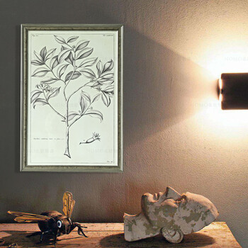 售完无补 NOMO art deco美式素描画客厅玄关装饰画挂画 花鸟风景 达尔文笔记 A款