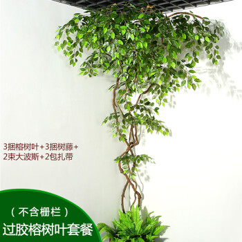 仿真树叶树枝假树藤竹子藤条藤蔓植物管道装饰大型绿植墙绿叶 胶榕树