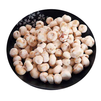 珍珠马蹄 500g 去皮荸荠 新鲜蔬菜 小马蹄 惠海 椰子鸡炒三果 美食