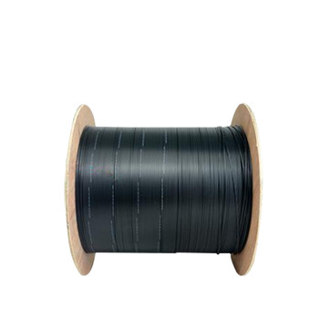 APESD室外单模两芯皮线光缆 两芯皮线光缆 单