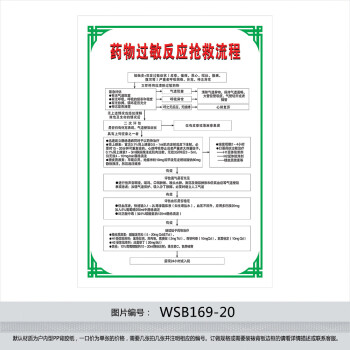 院制度 急救程序挂图 药物过敏反应抢救流程图