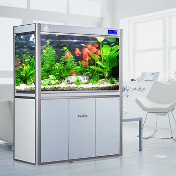森森鱼缸水族箱玻璃鱼缸免换水生态龙鱼缸1\/1