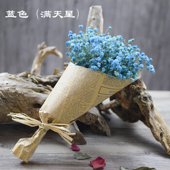 满天星干花花束客厅家居摆设勿忘我风干永生花束小清新带花瓶 浅蓝色