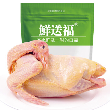 鲜送福 鸽子肉 新鲜乳鸽 1只400g/只（杀前约600g）农家杂粮鸽肉 草鸽