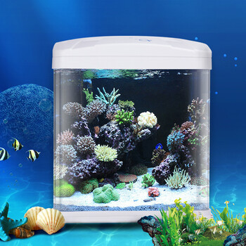 金利佳(Jeneca)桌面迷你鱼缸水循环三合一办公