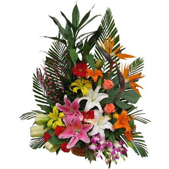 利川建始巴东安宣恩咸丰来凤鹤峰县仙桃潜江天