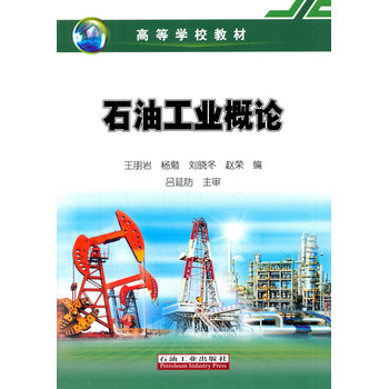 《石油工业概论 王朋岩,杨勉,刘晓冬 97875183